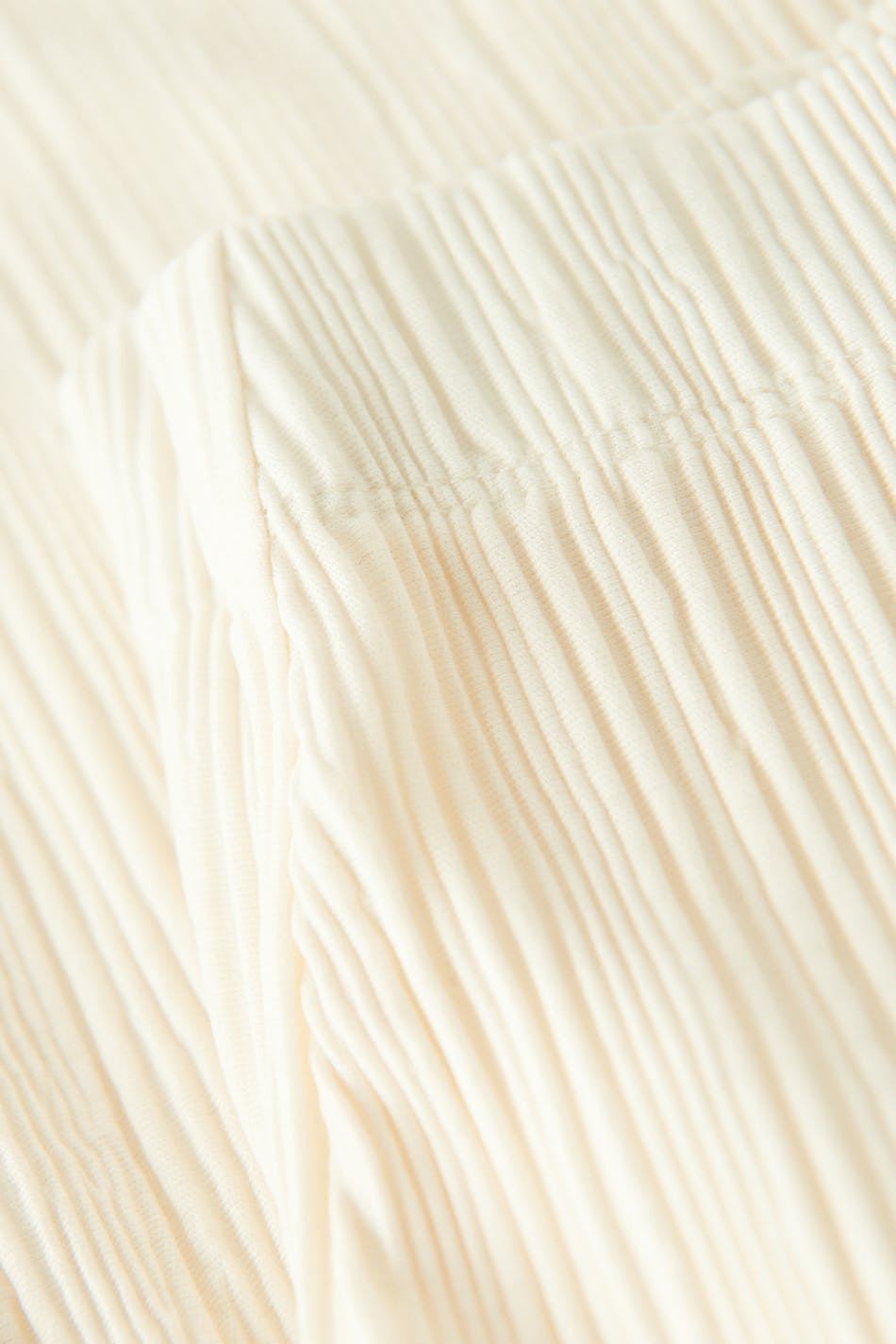 Pleated trousers
