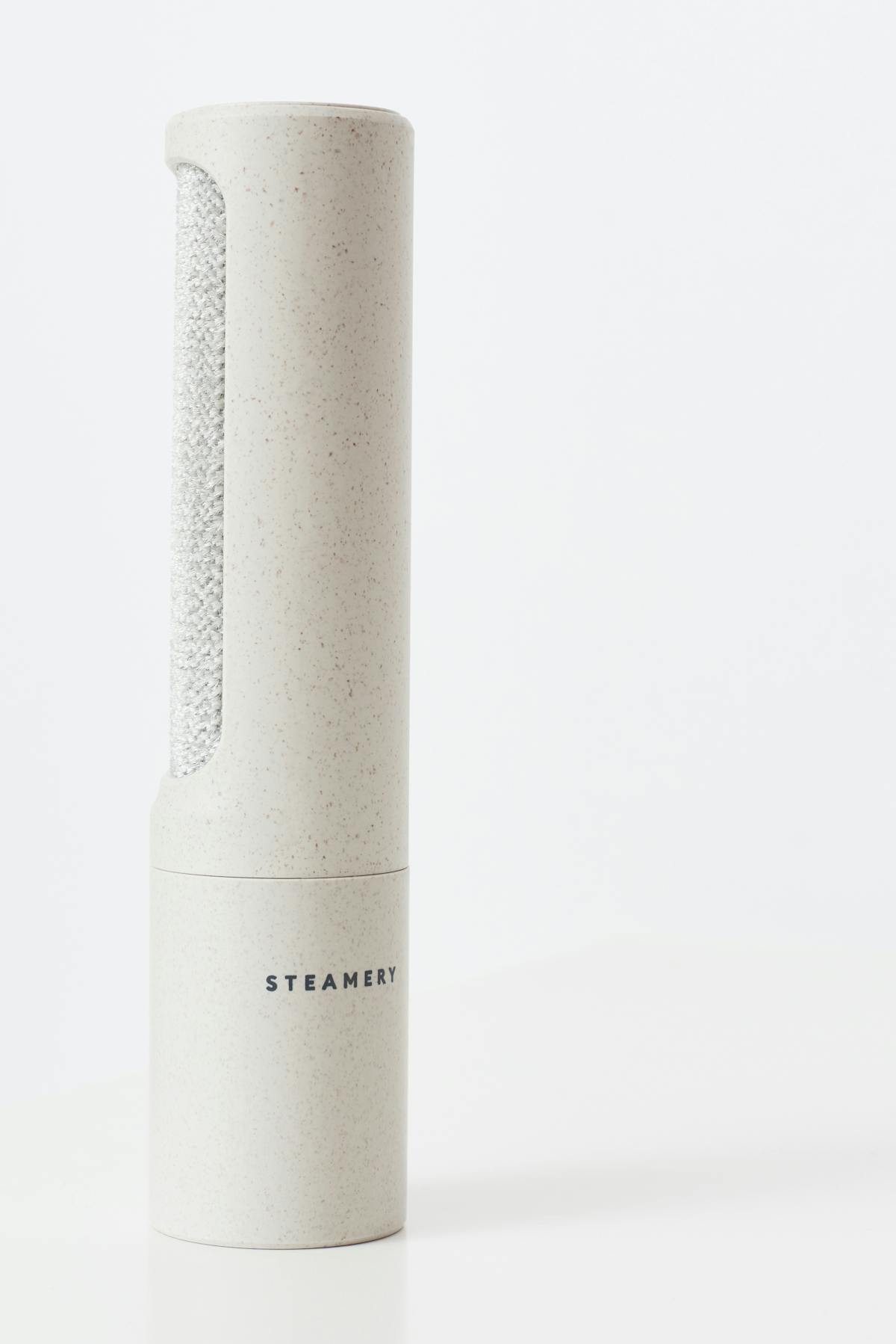 Lint brush