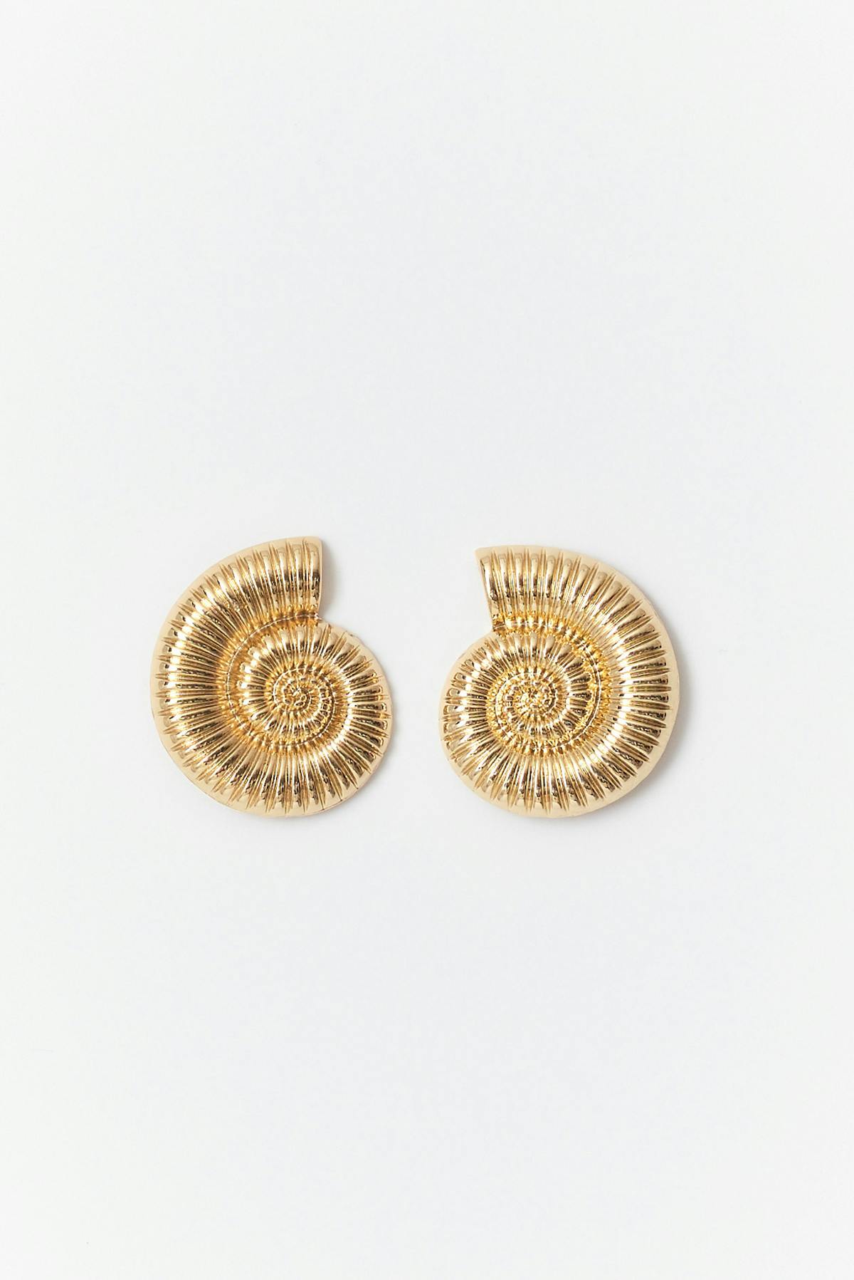 Sea shell earrings