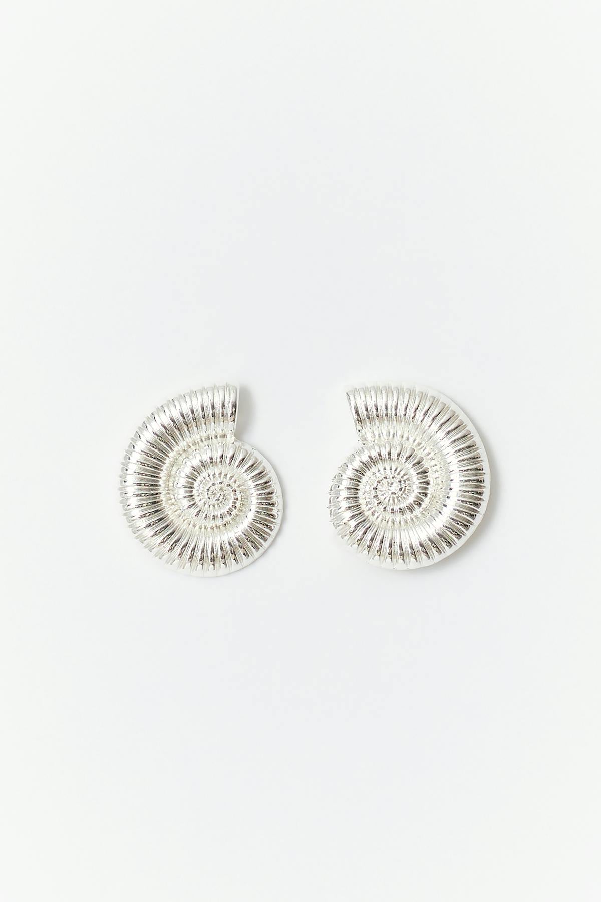 Sea shell earrings