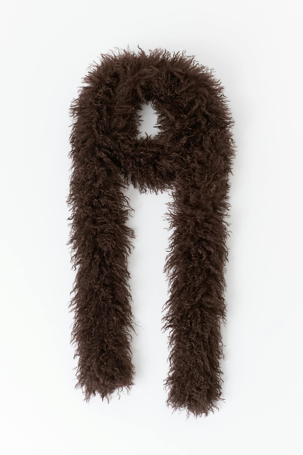 Hairy boa