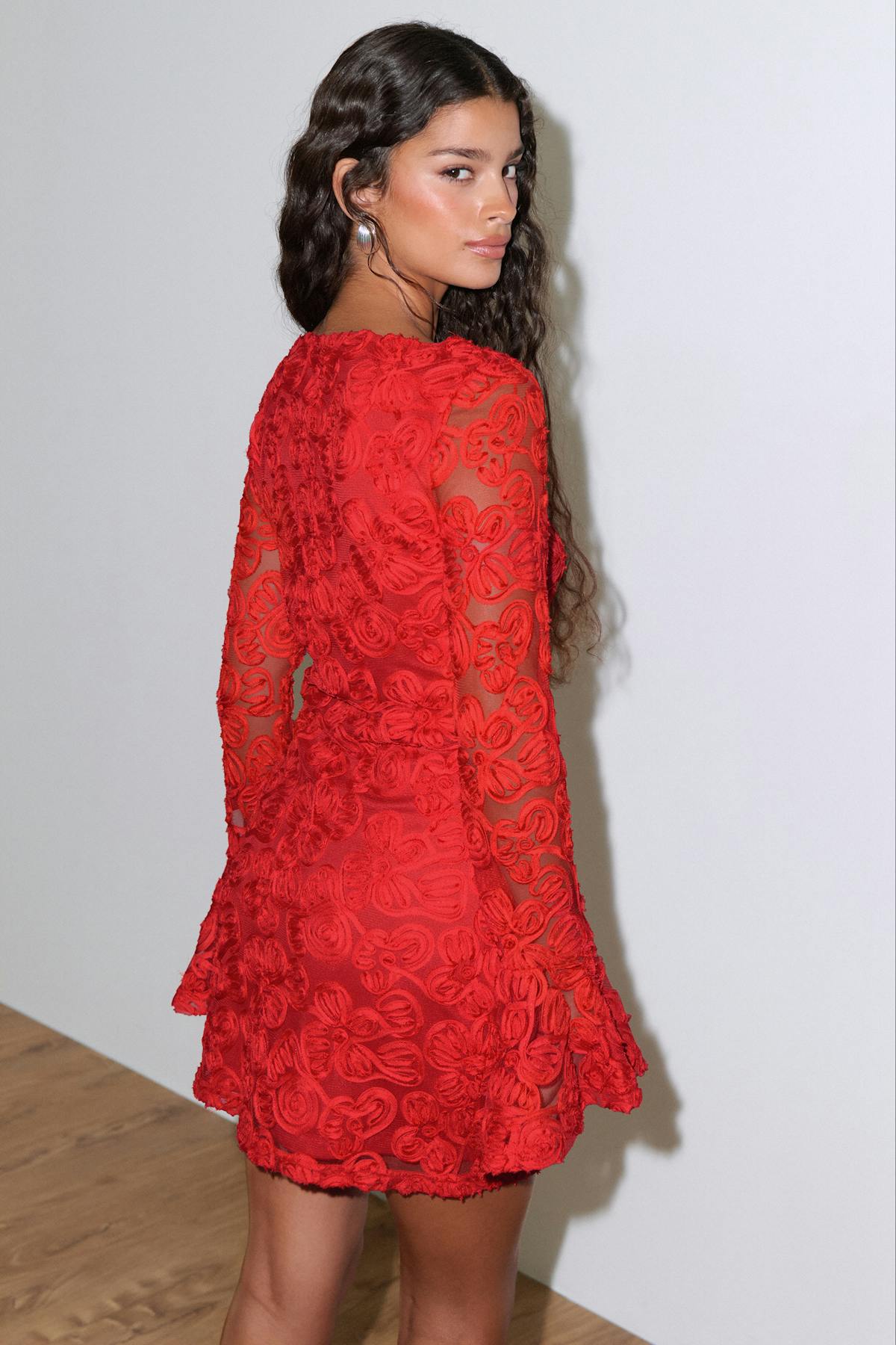 Embroidery mini dress