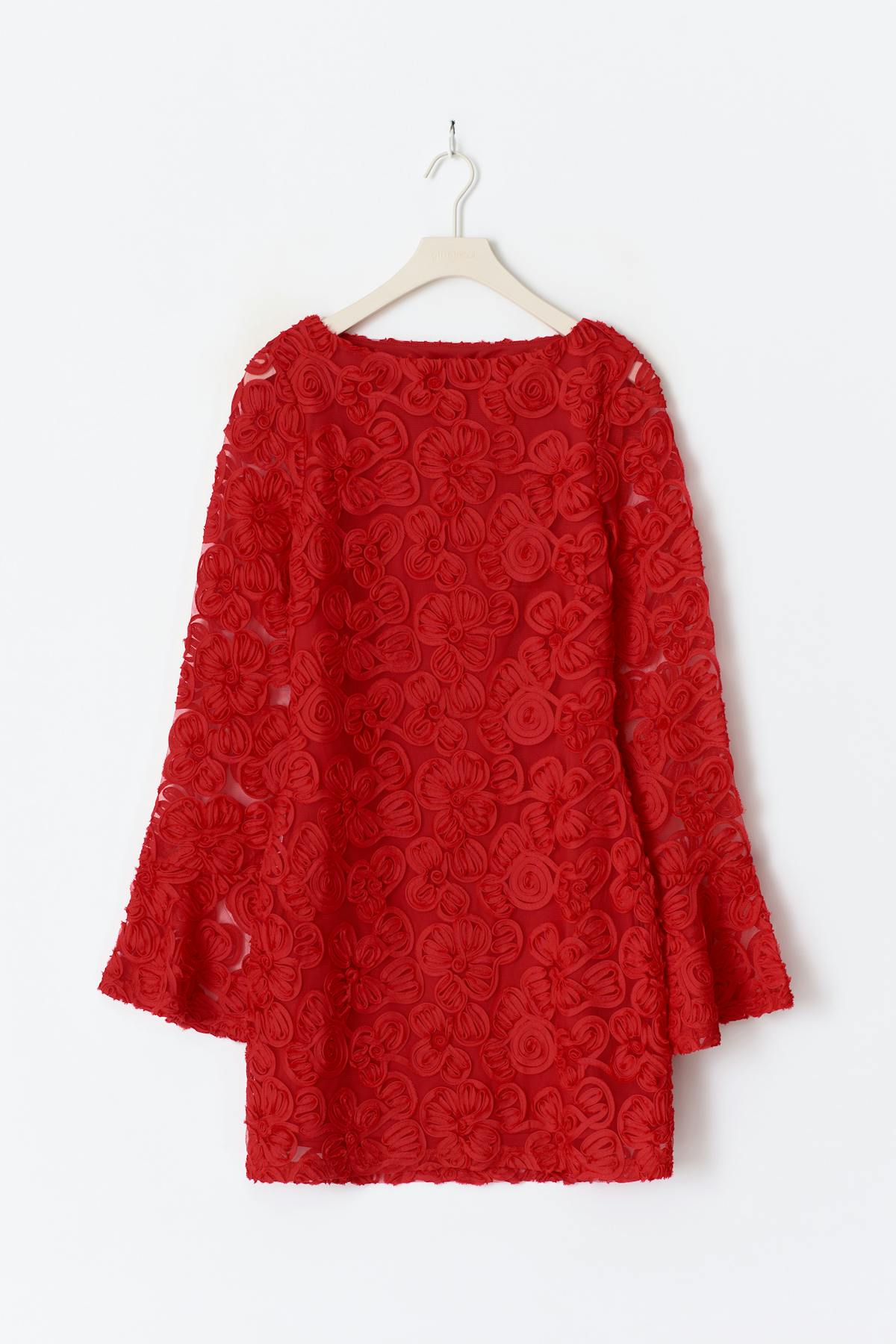 Embroidery mini dress