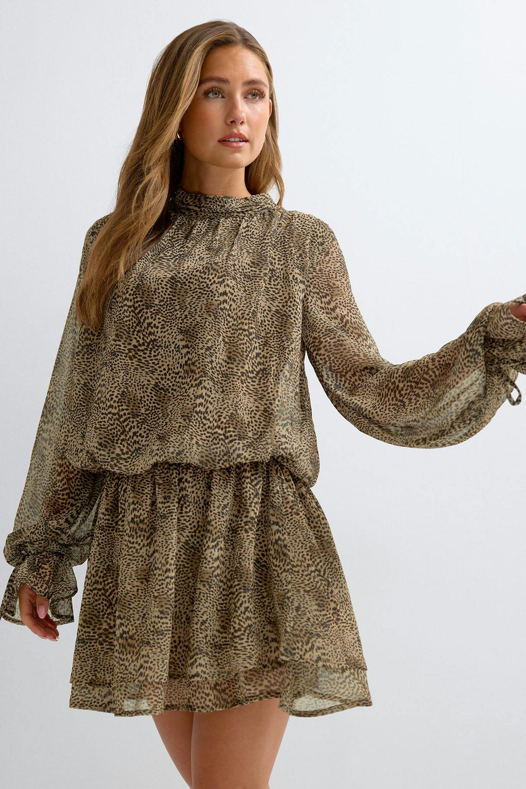 Chiffon dress