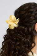 2-pack flower hair clips