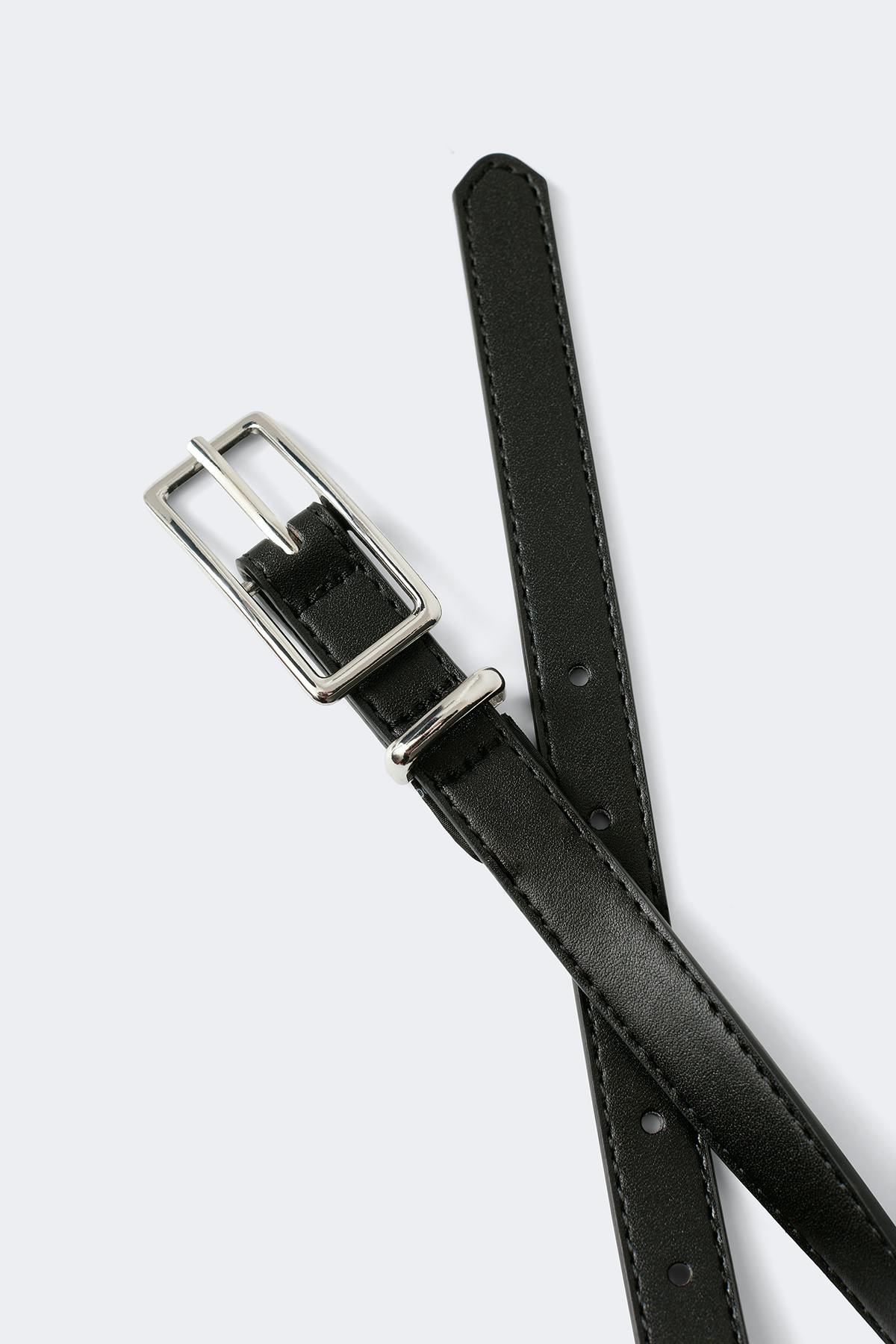 Clean rectangular belt